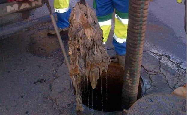 ‘Don’t clog it up’ campaign launched as 24 tonnes of wet-wipes removed from sewage pipes in Ronda